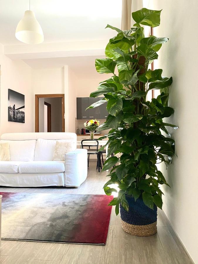 Delonix Regia Olbia Apartment Exterior photo